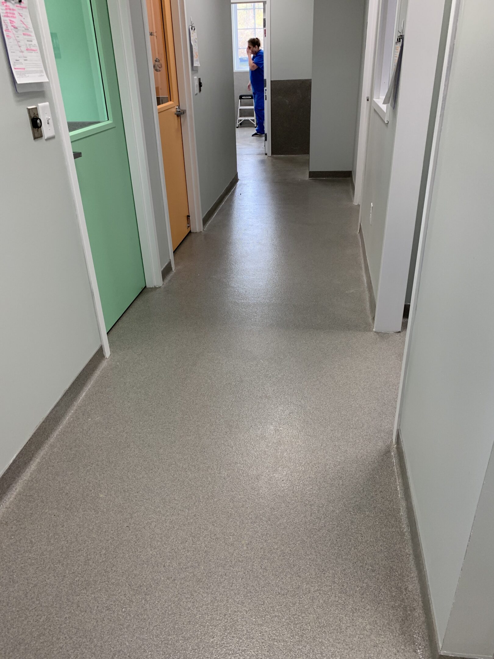 6a2b08cad8775_Vet Clinic Flooring_Quartz